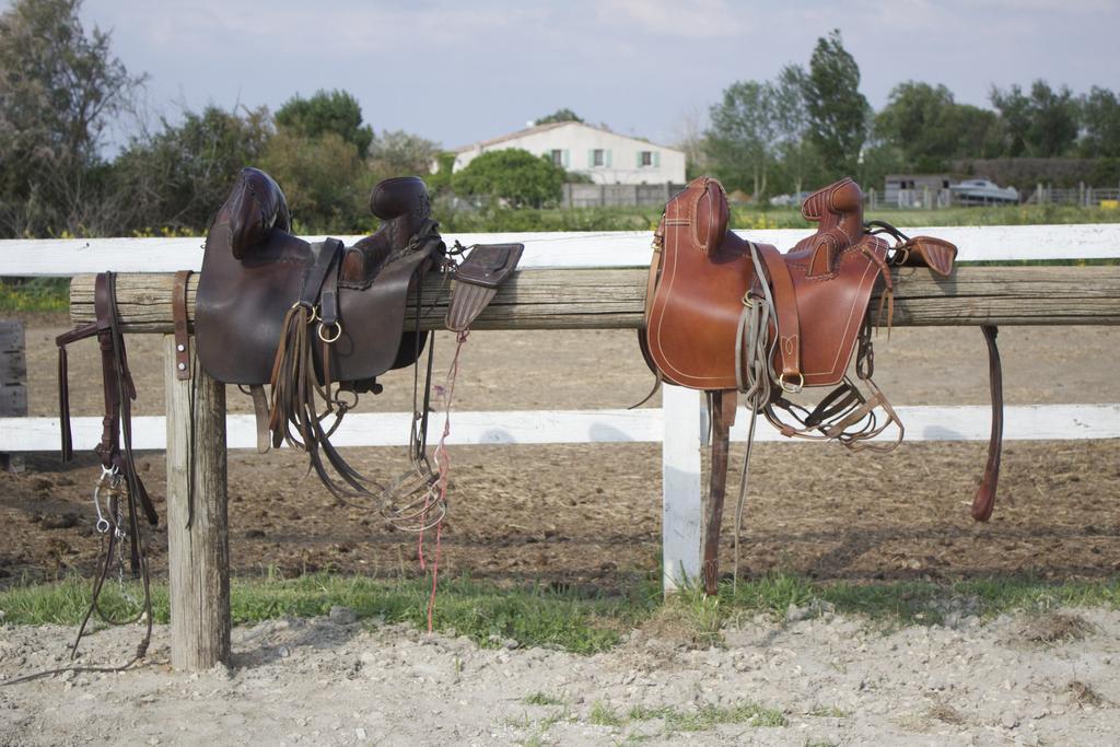 Gites Equestres Lou Caloun - Les Saintes Maries De La Mer מראה חיצוני תמונה